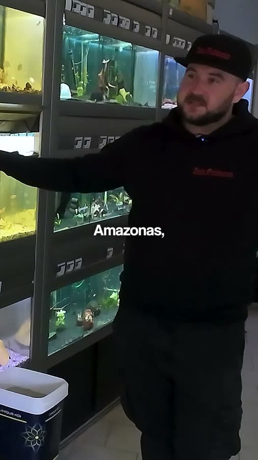 Aufnahme in einem Zoofachgeschäft vor Aquarienregalen